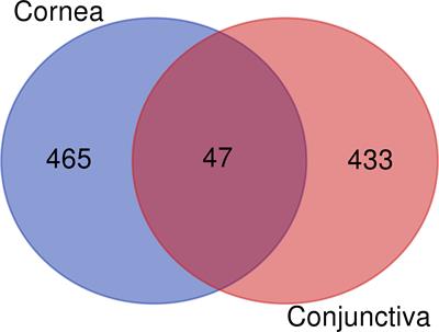 Ocular surface immune transcriptome and tear cytokines in corneal infection patients